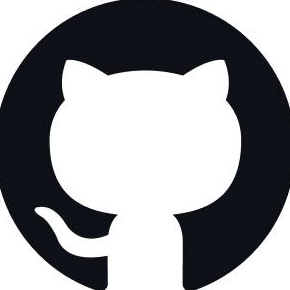 GitHub icon